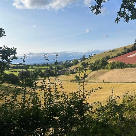 Countryside Converted Barn With Hot Tub Newton Abbot Ngoại thất bức ảnh