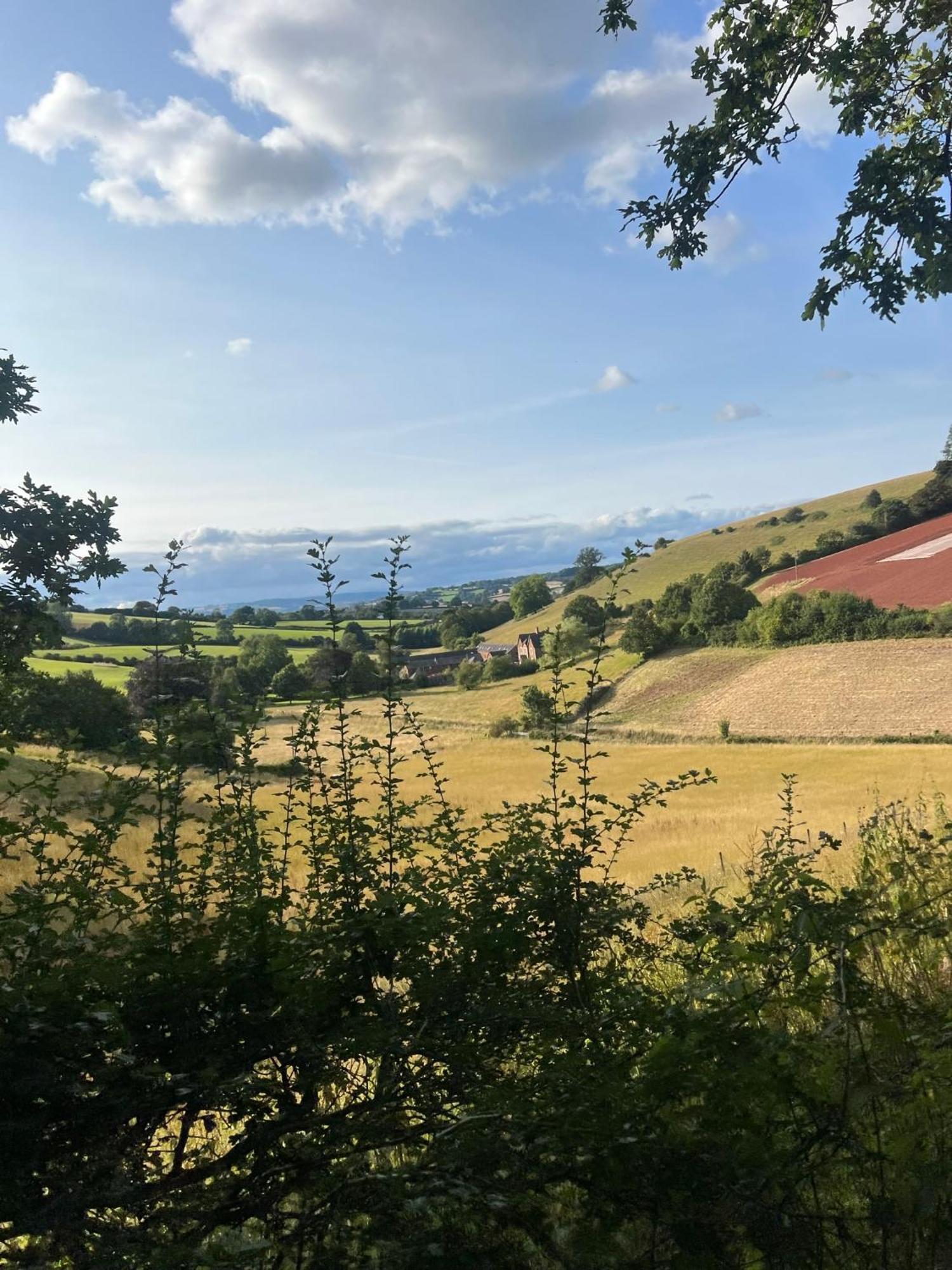Countryside Converted Barn With Hot Tub Newton Abbot Ngoại thất bức ảnh